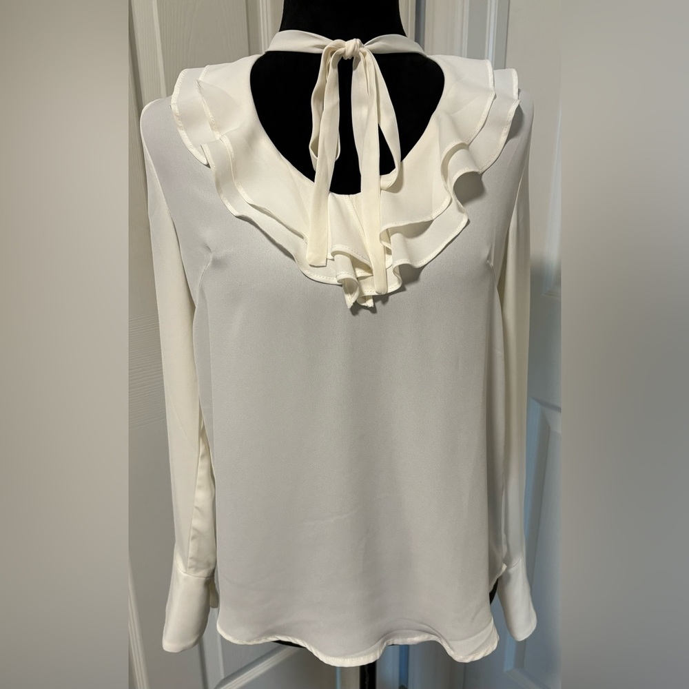 BLVD Ruffled Tie Neck Blouse - Picture 2 of 7